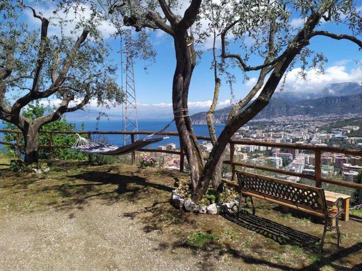 Apartament Sorrento Pacific Hill Zewnętrze zdjęcie